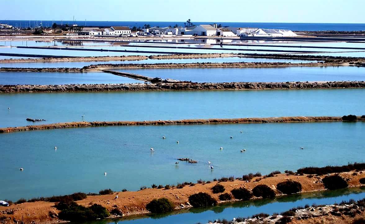 Hotel Alaska San Pedro del Pinatar Kültér fotó