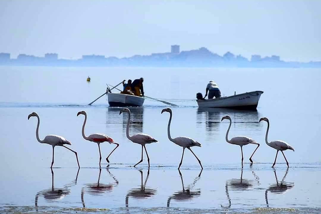 Hotel Alaska San Pedro del Pinatar Kültér fotó